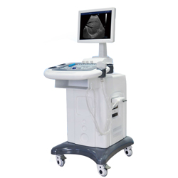 Ultrasonic Diagonstic System